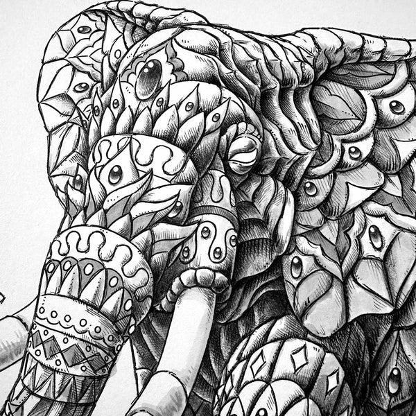 Ornate-Elephant-4.0-02_grande.