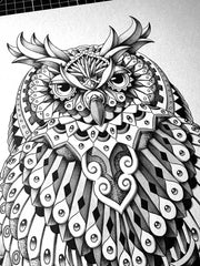 Tequila Owl (Original Artwork)