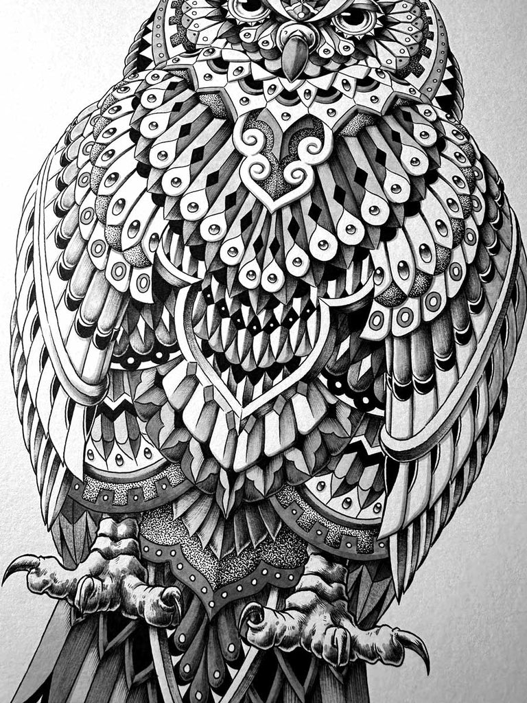 Tequila Owl (Original Artwork)