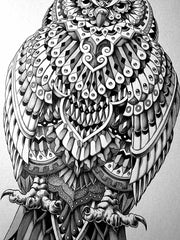 Tequila Owl (Original Artwork)