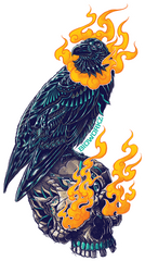 Raven Skull Sticker
