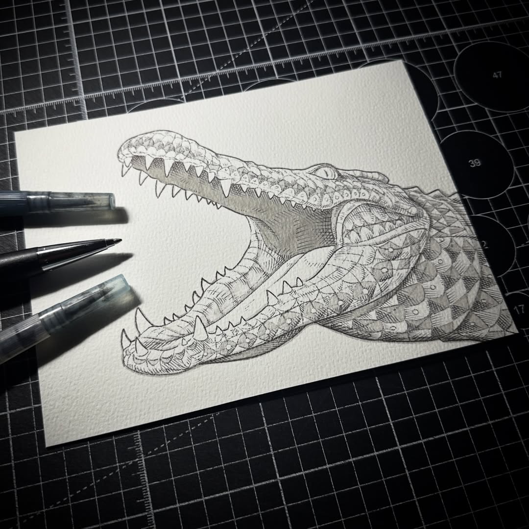 Alligator (Original Drawing)