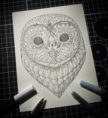 Barn Owl (Original Drawing)
