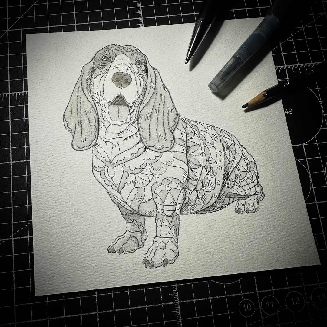 Basset Hound (Original Drawing)