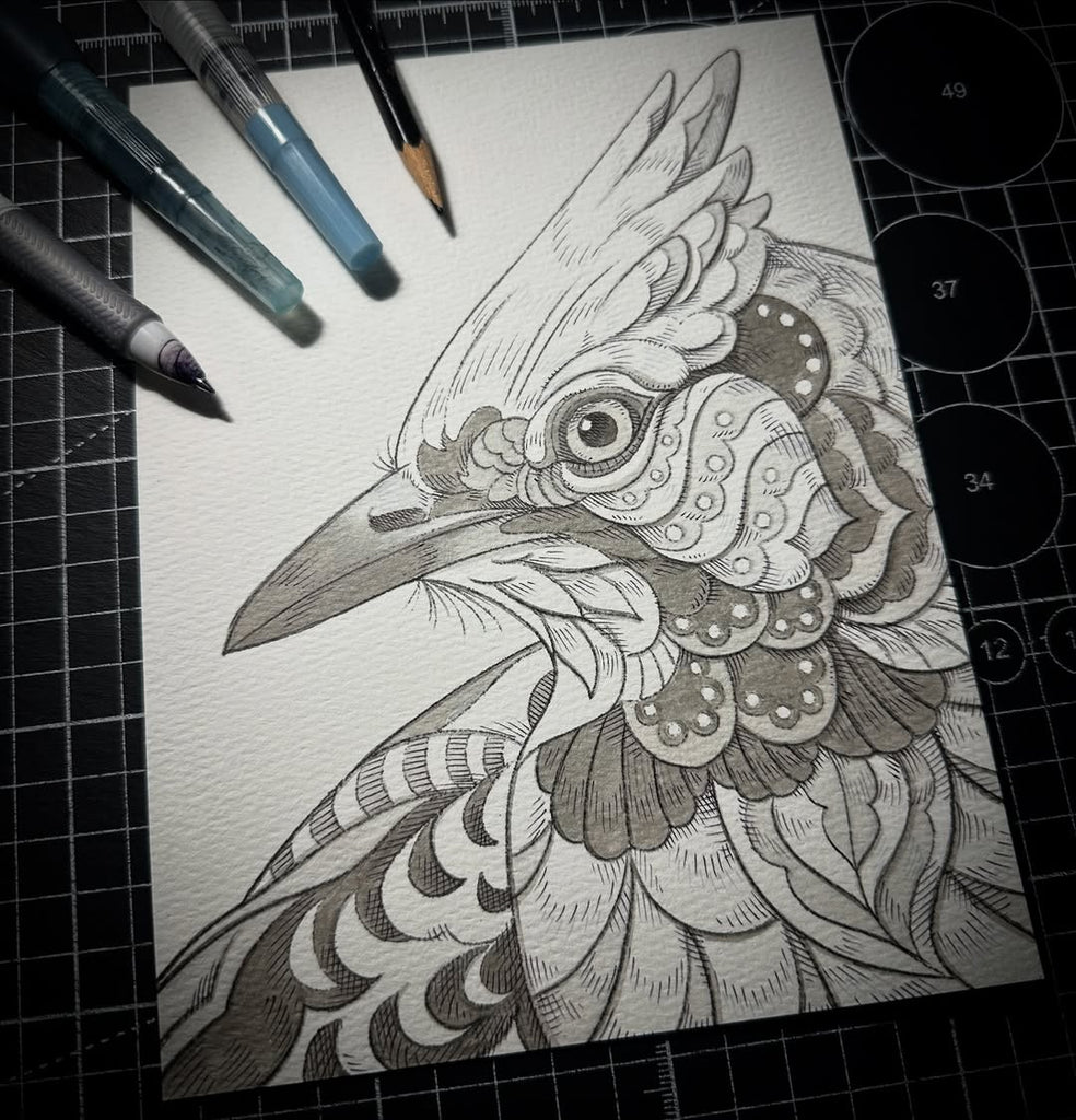 Blue Jay (Original Drawing)