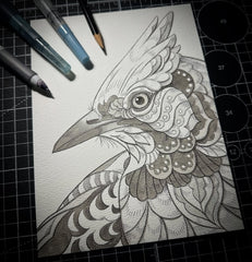 Blue Jay (Original Drawing)