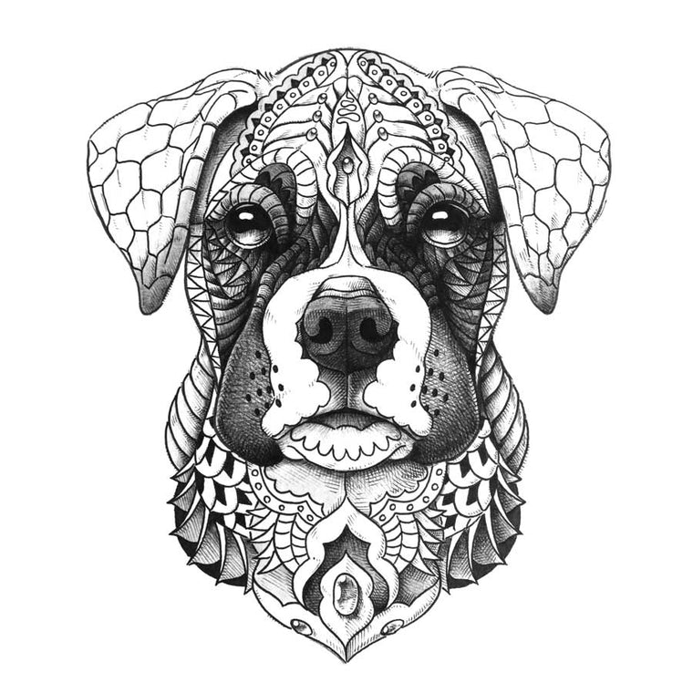 Boxer Puppy Art Print (Open Edition)