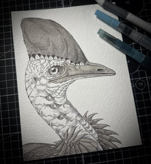 Cassowary (Original Drawing)