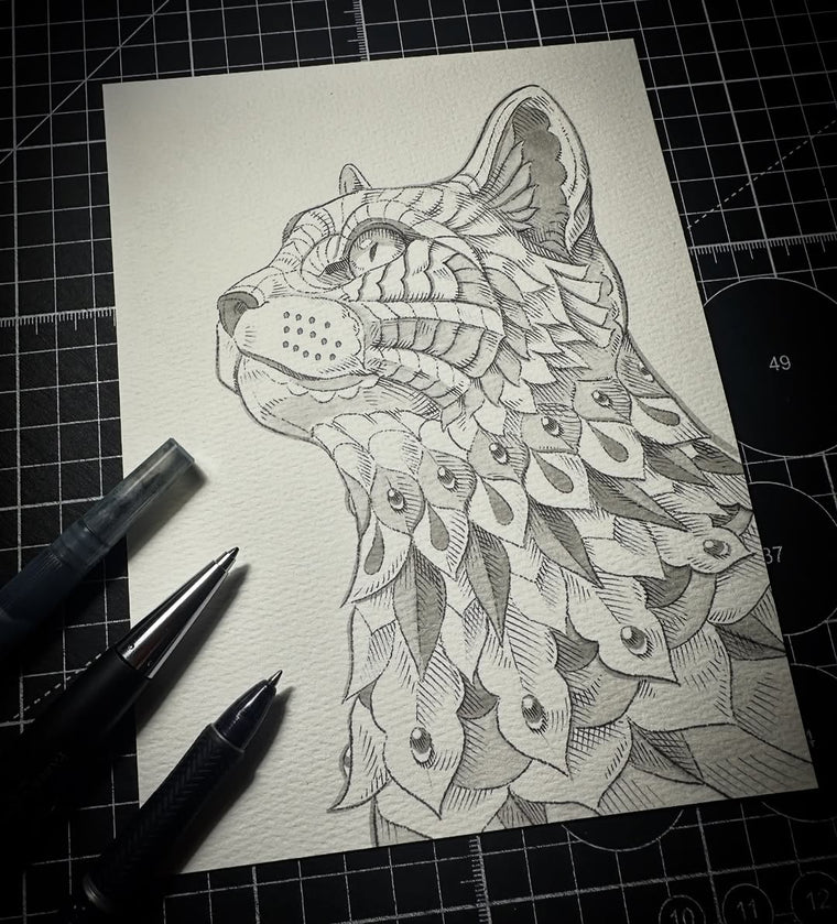 Cat 5.0 (Original Drawing)