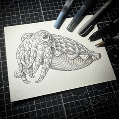 Cuttlefish (Original Drawing)