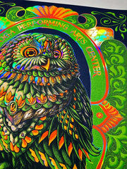 DMB "Owl" Foil SPAC Saratoga Springs, NY Print (Edition of 75)