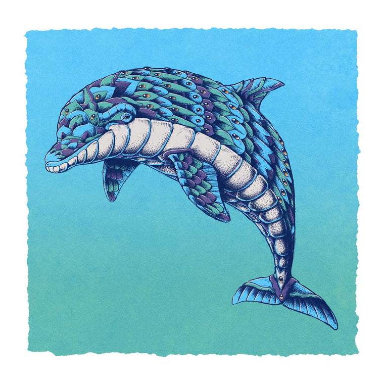 Dolphin 8x8 (Open Edition)