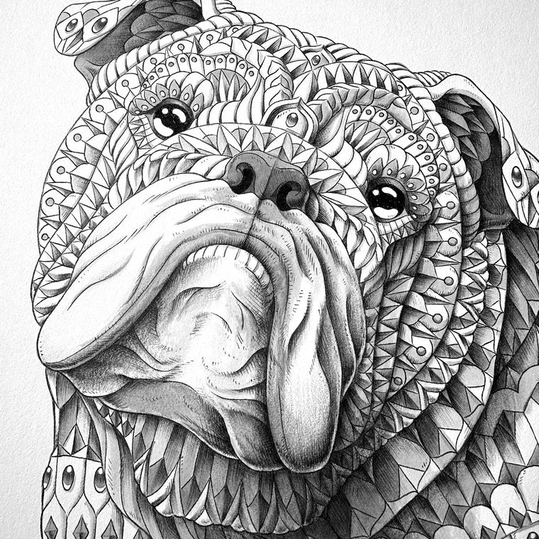 English Bulldog (Original Artwork)