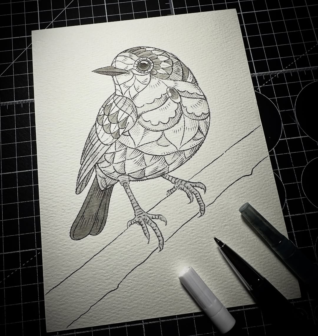European Robin (Original Drawing)