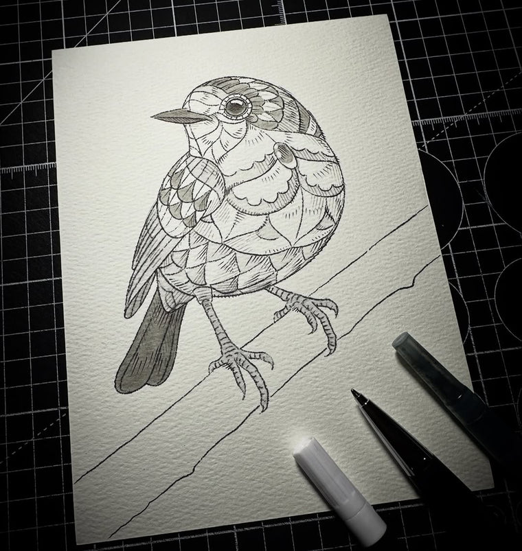 European Robin (Original Drawing)