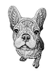 Frenchie Keyline Giclee Art Print (Edition of 13)