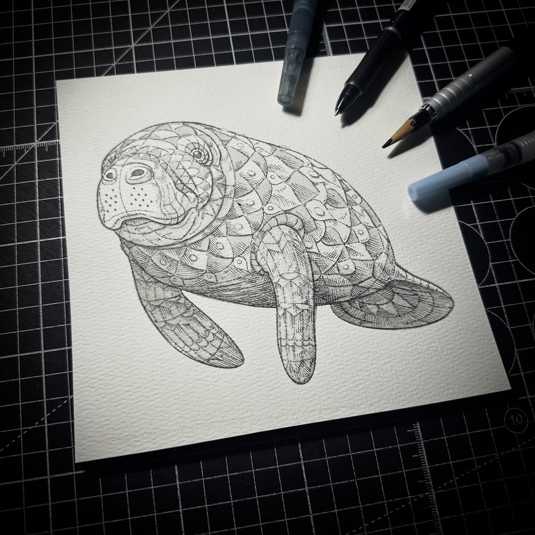 Manatee (Original Drawing)