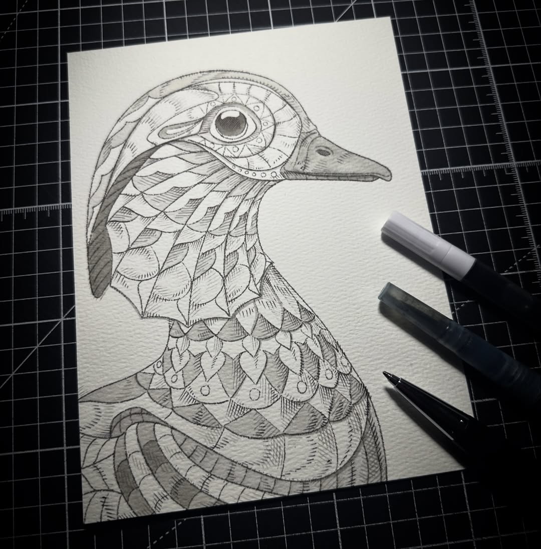 Mandarin Duck (Original Drawing)