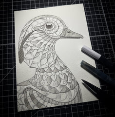 Mandarin Duck (Original Drawing)