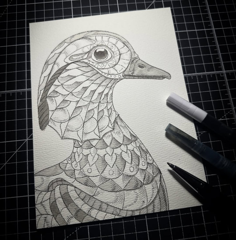 Mandarin Duck (Original Drawing)