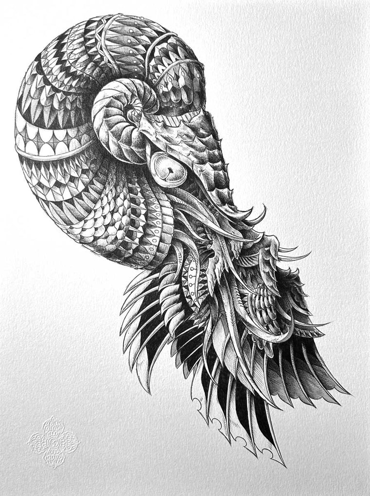 Nautilus (Original Artwork)