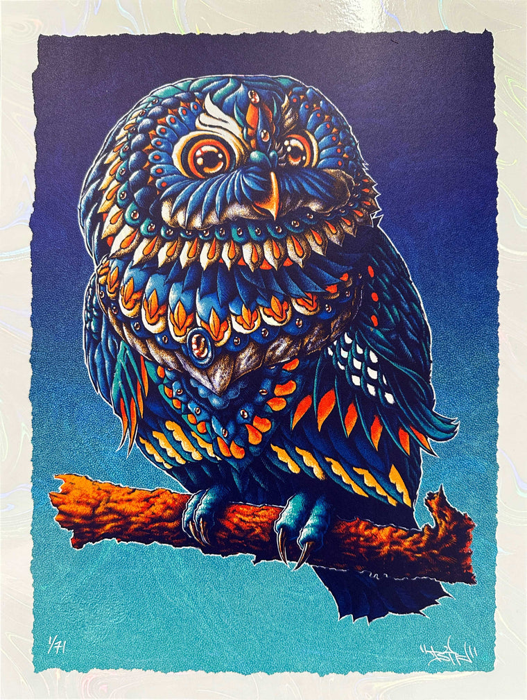 Saw-Whet Owl 12x16 Art Print (Edition of 71)