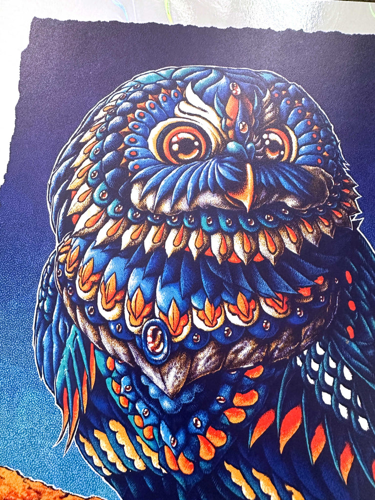 Saw-Whet Owl 12x16 Art Print (Edition of 71)