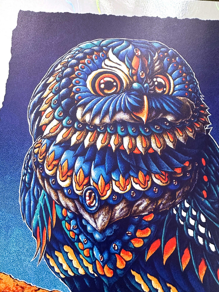 Saw-Whet Owl 12x16 Art Print (Edition of 71)