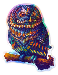 Blue Owl Rainbow Foil Decal (Weatherproof)