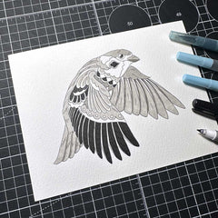 Sparrow 3.0 (Original Sketch)