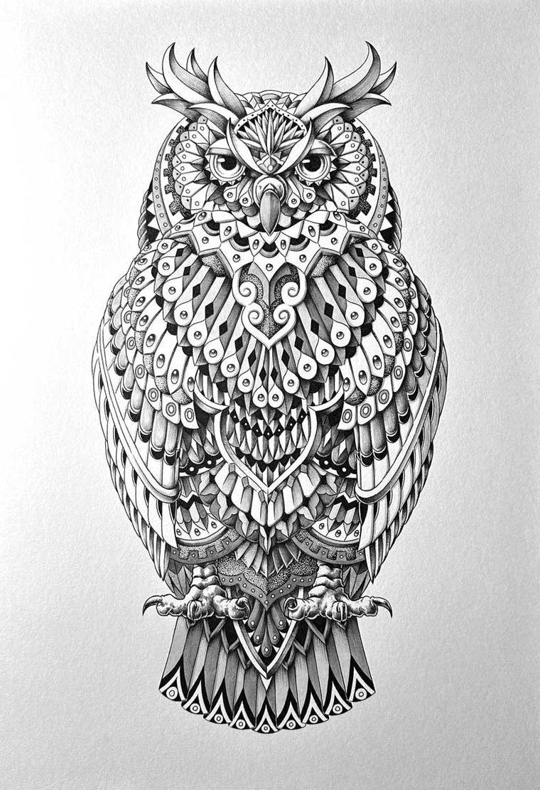 Tequila Owl (Original Artwork)