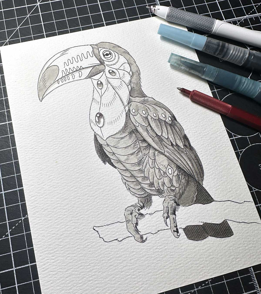 Toucan 2.0 (Original Sketch)