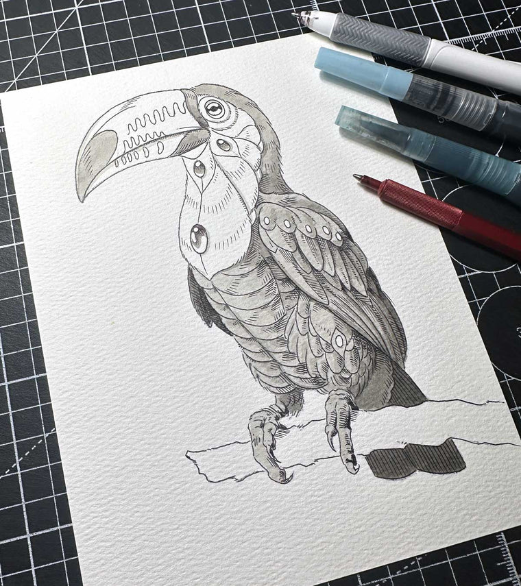 Toucan 2.0 (Original Sketch)