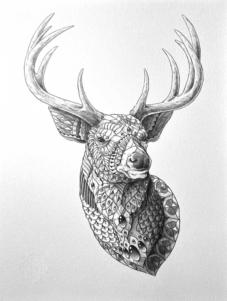 White-Tailed Deer (Original Artwork)