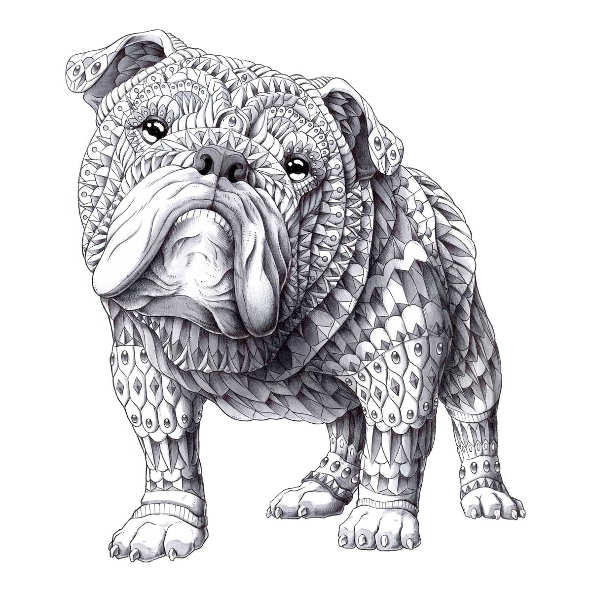English Bulldog (Original Artwork)