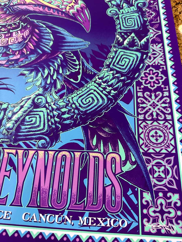 Dave Matthews & Tim Reynolds N3 Toucan Mexico Artist Variant (Edition of 100)
