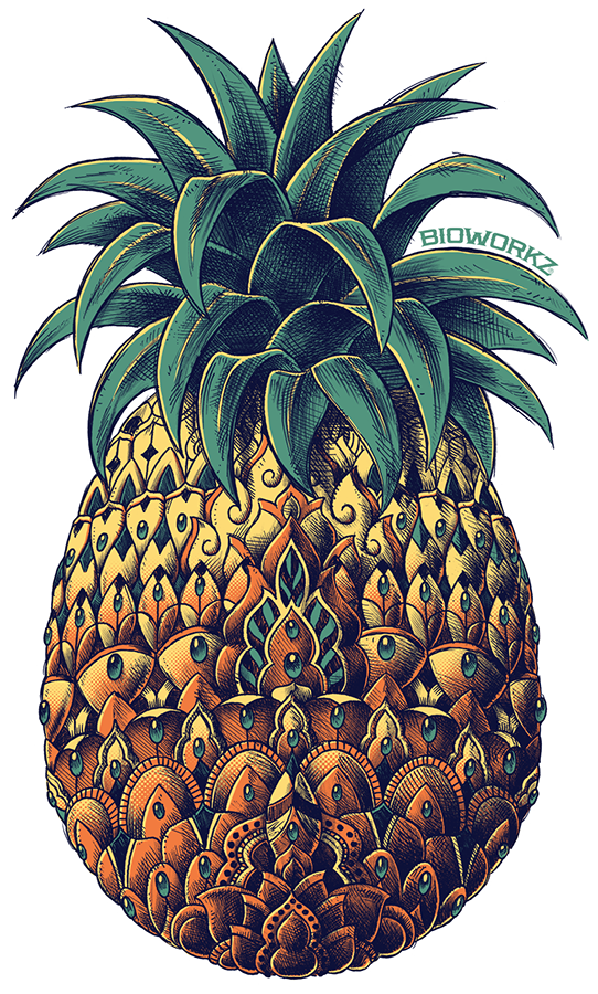 Ornate Pineapple Sticker