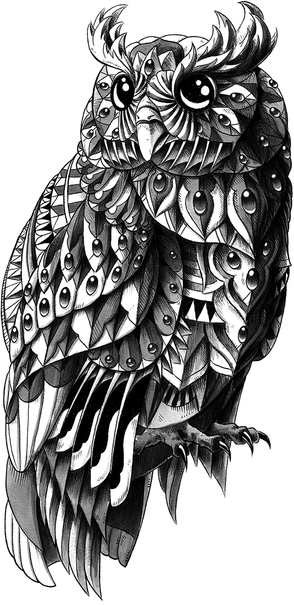 Owl 2.0 Sticker
