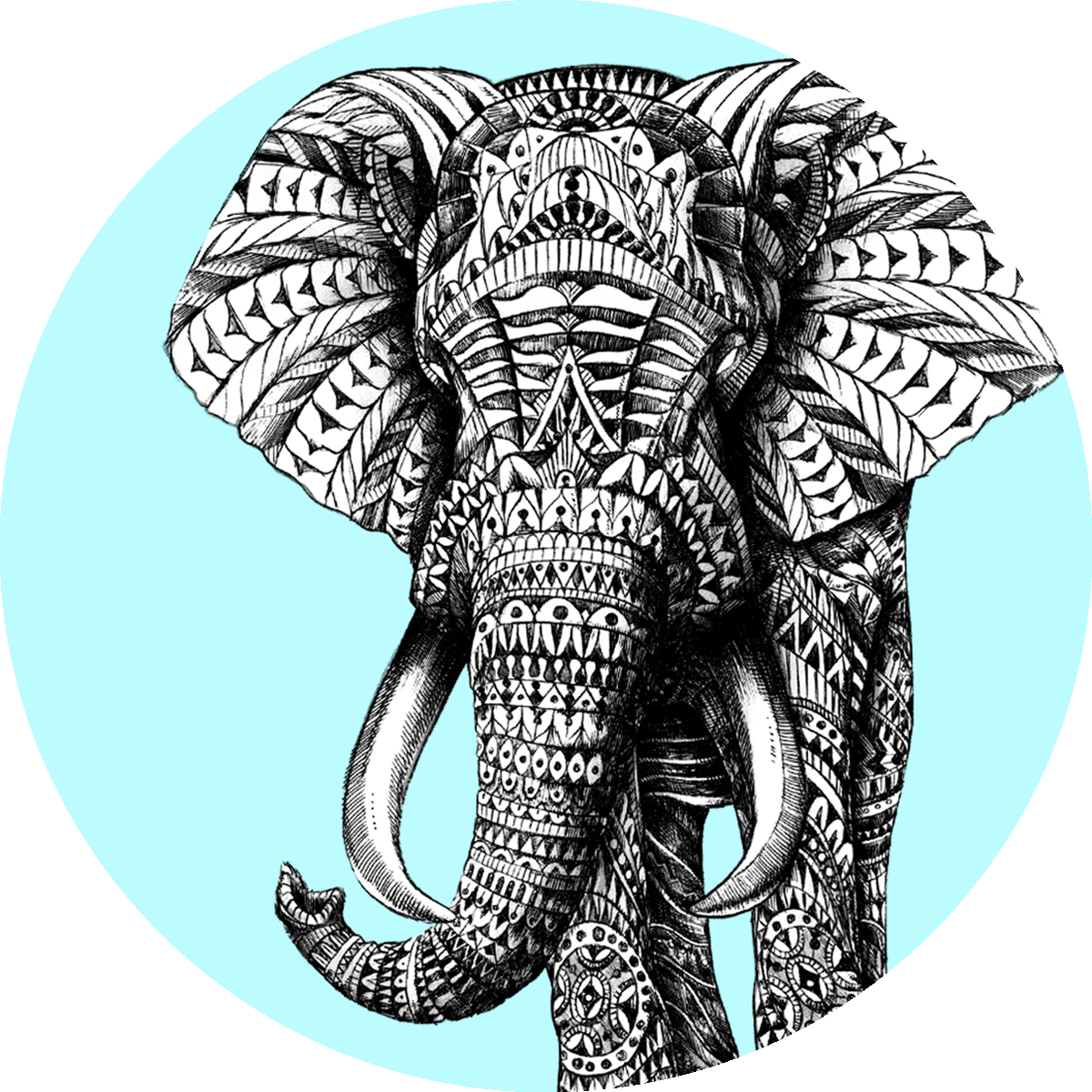 I'm All Ears (PopSockets x BIOWORKZ) "Save The Elephants" Charity