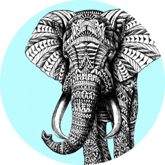 I'm All Ears (PopSockets x BIOWORKZ) "Save The Elephants" Charity