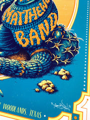 DMB Armadillo Show Print (Edition of 20)